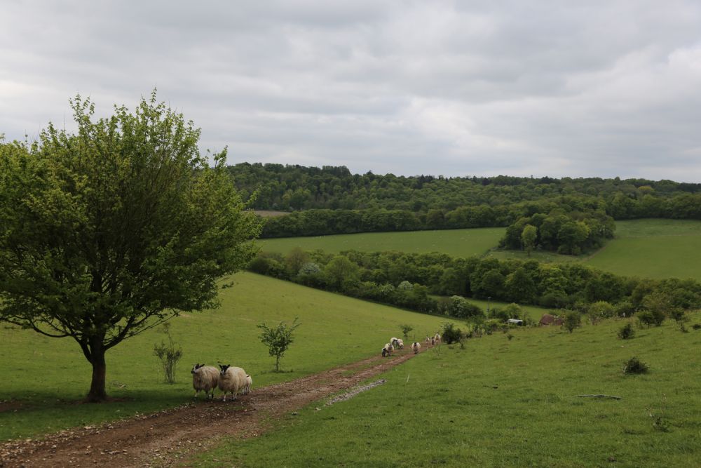 Vacant cottage and a barn on a private country estate for film, shoot location hire (Stokenchurch, Buckinghamshire)