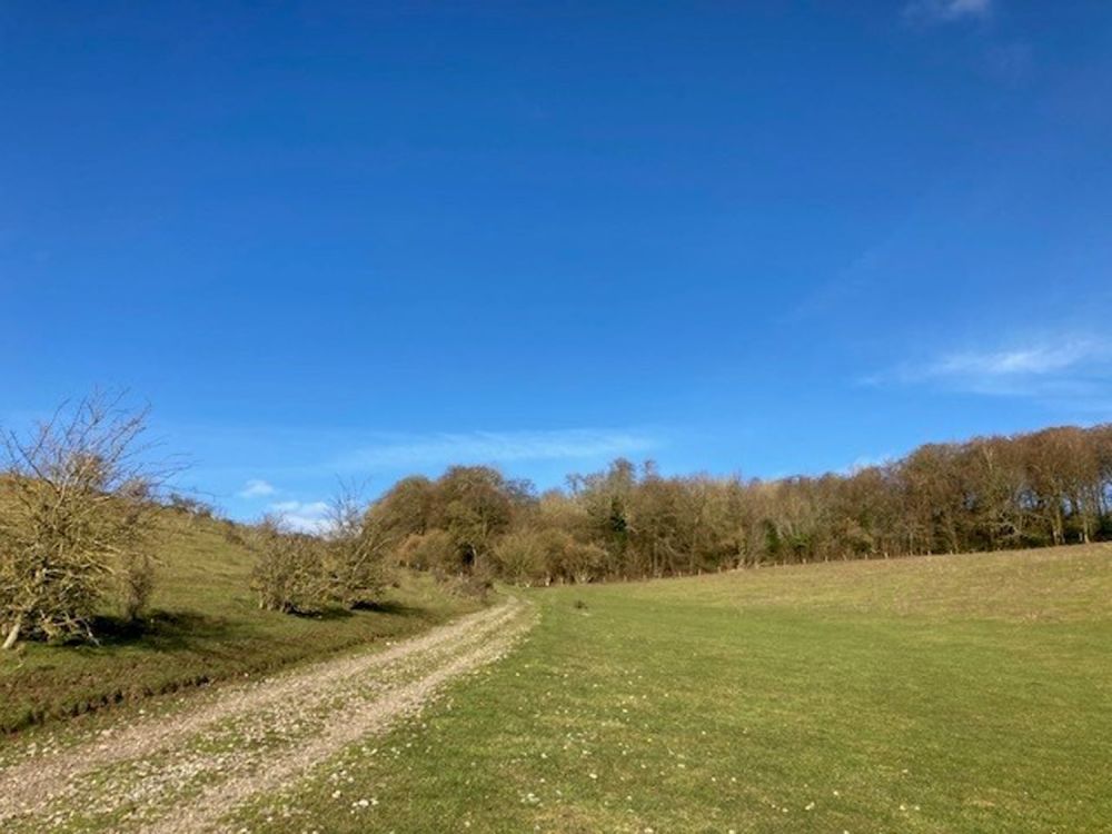 Vacant cottage and a barn on a private country estate for film, shoot location hire (Stokenchurch, Buckinghamshire)