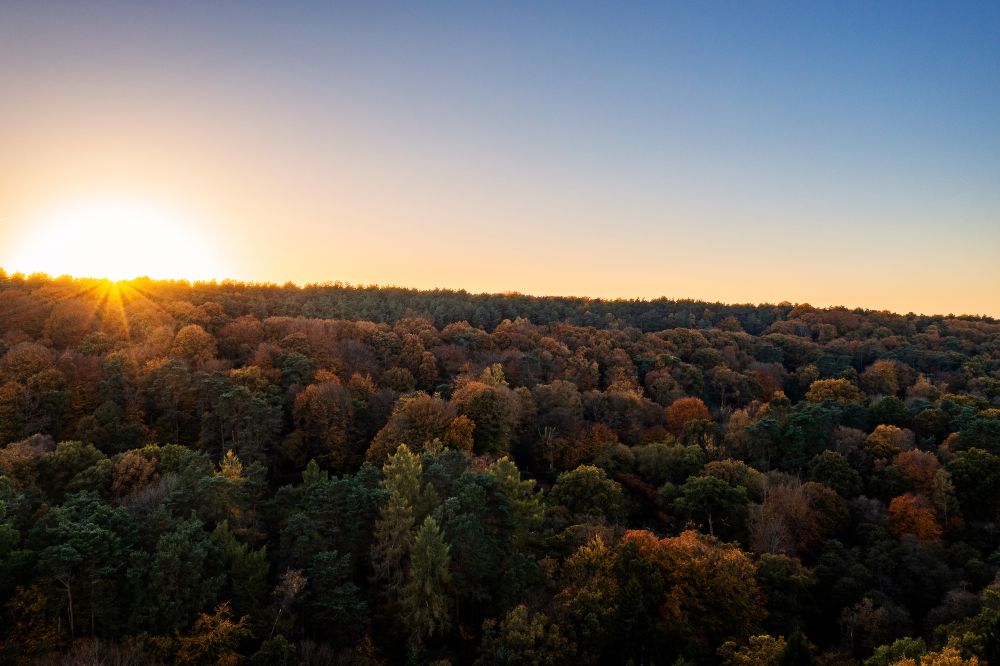 Stunning Surrey family home