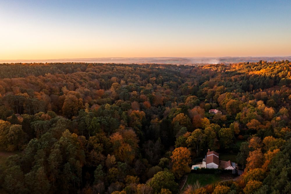 Stunning Surrey family home