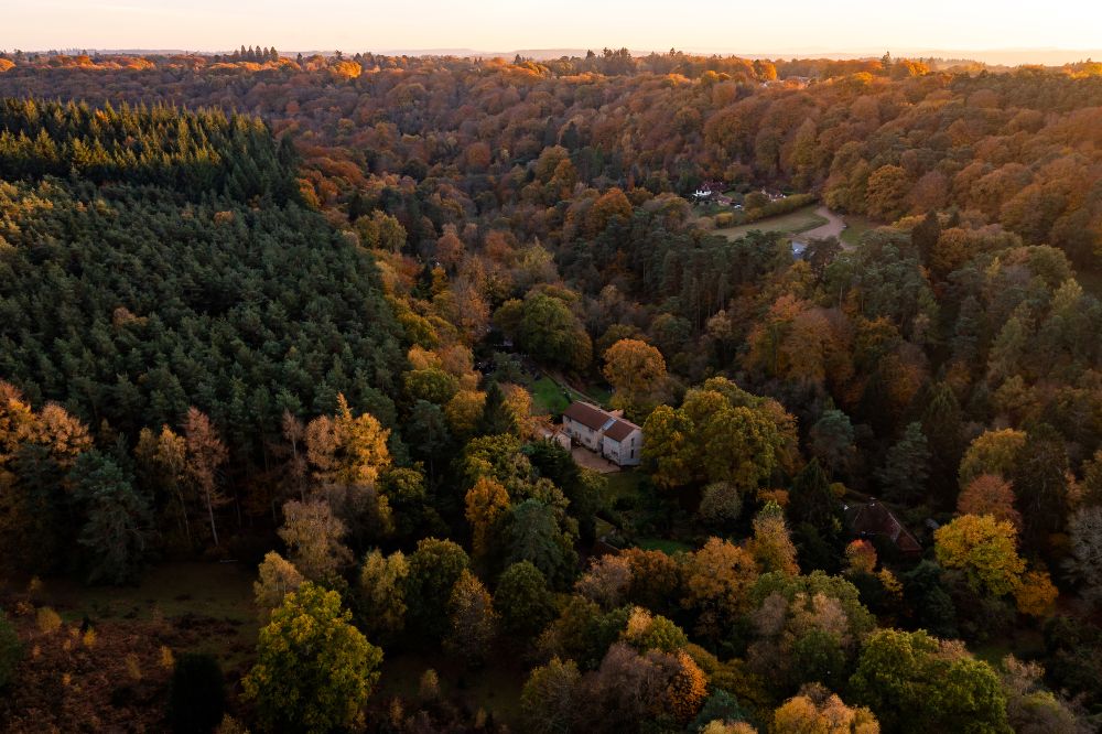 Stunning Surrey family home