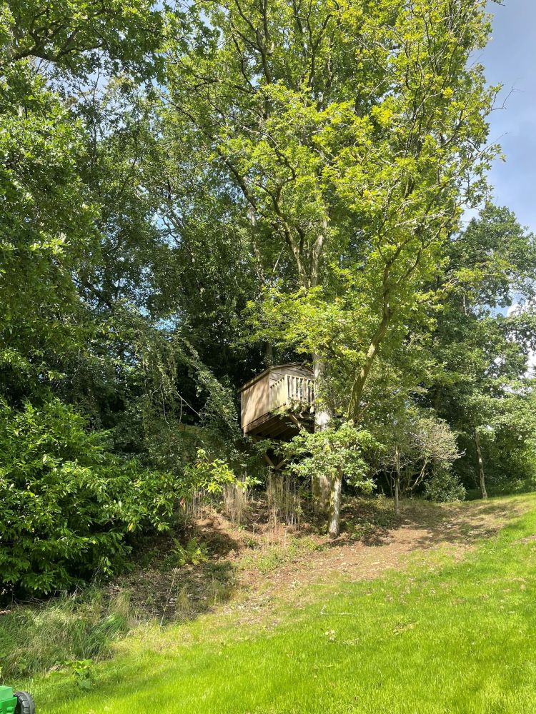 Stunning Surrey family home