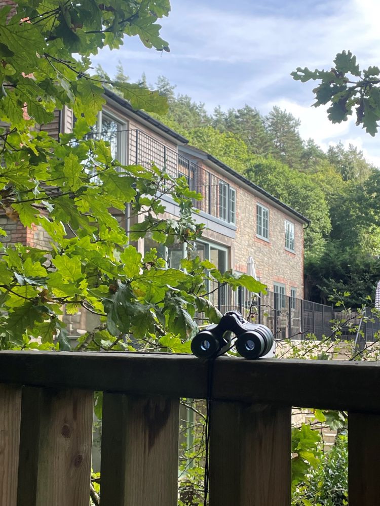 Stunning Surrey family home