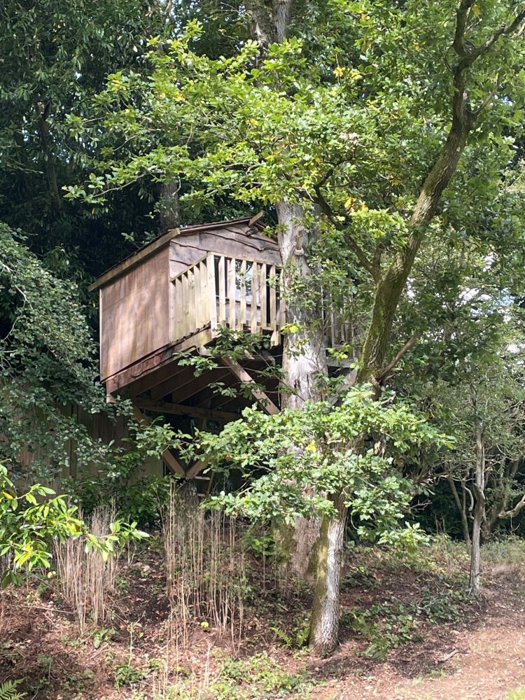 Stunning Surrey family home