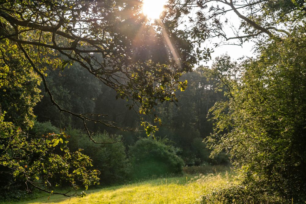A magnificent private estate, hidden away in the heart of the Sussex countryside.