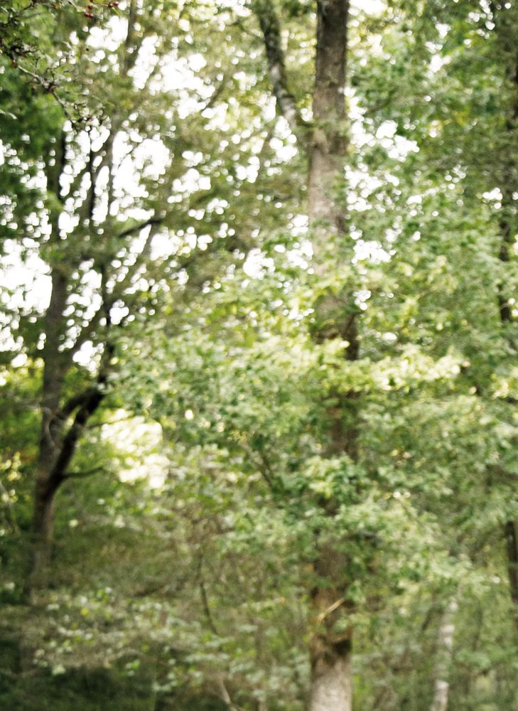 Architecturally designed cabin hidden within 65 acres of tranquil woodland