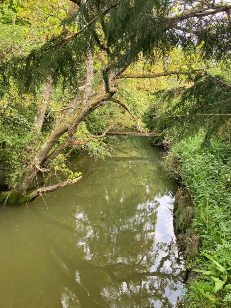 The Manor House, Isle of Wight