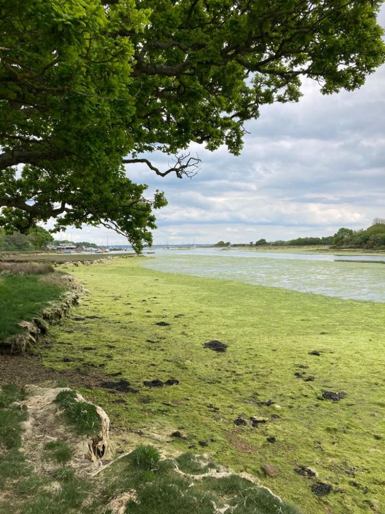 The Manor House, Isle of Wight