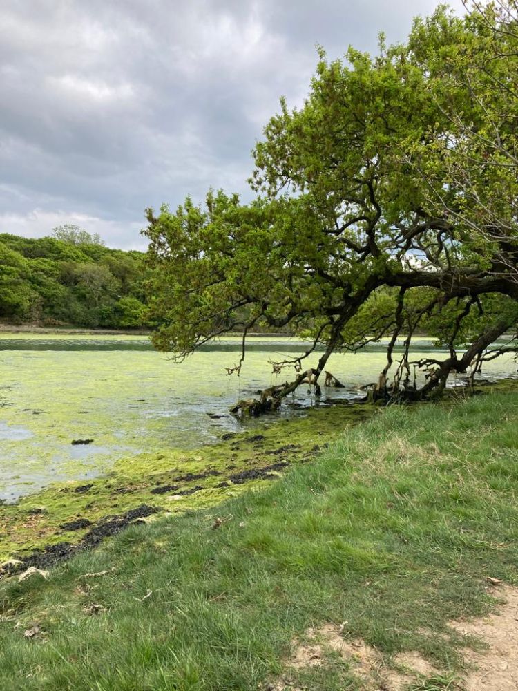 The Manor House, Isle of Wight