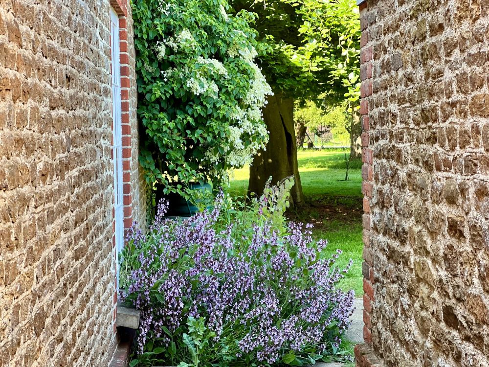 Georgian Manor Estate in Surrey