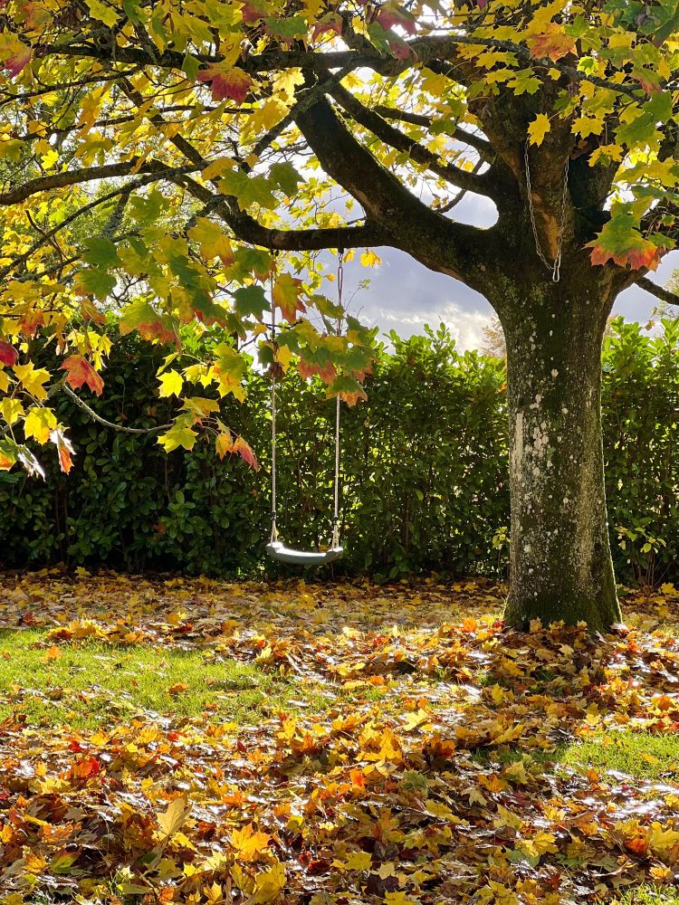 Georgian Manor Estate in Surrey