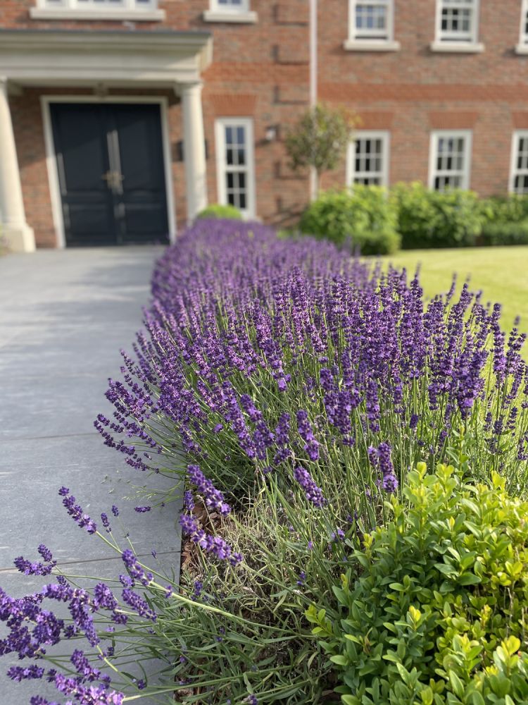 Stunning new build property with indoor swimming pool for film and photoshoot location (Harpenden, Hertfordshire)