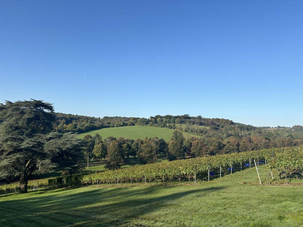 Vineyards with stunning countryside views for film and photoshoot hire (Henley-on-Thames)