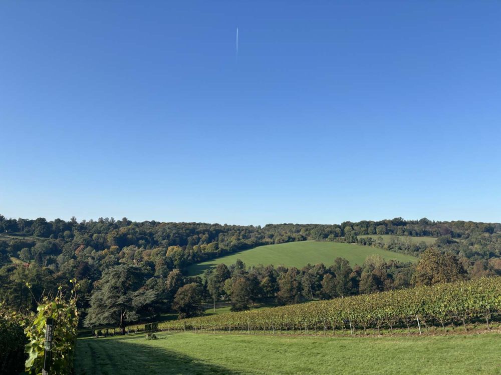 Vineyards with stunning countryside views for film and photoshoot hire (Henley-on-Thames)