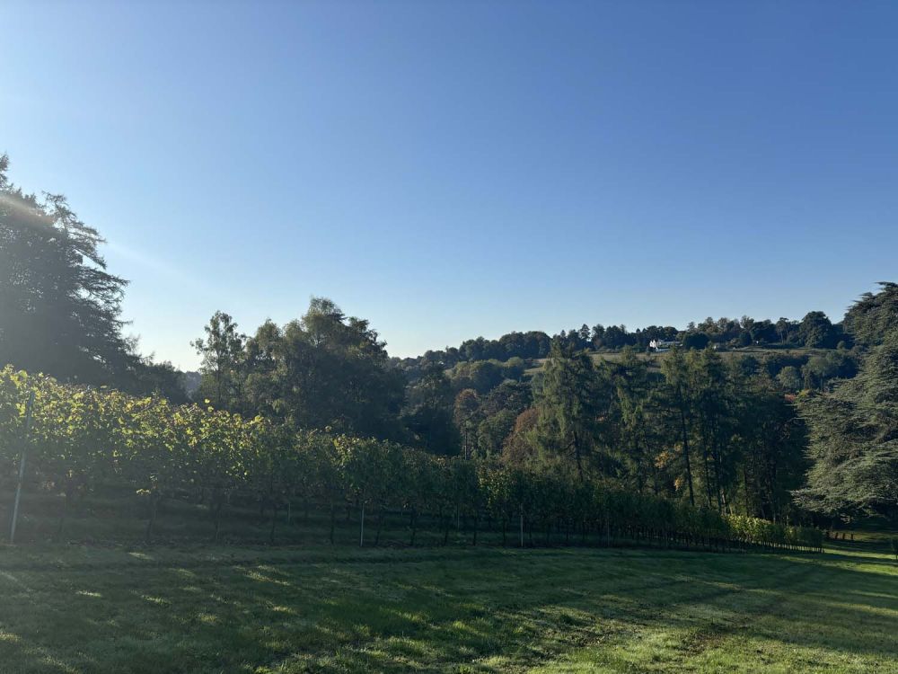 Vineyards with stunning countryside views for film and photoshoot hire (Henley-on-Thames)