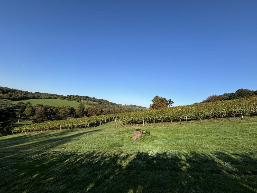 Vineyards with stunning countryside views for film and photoshoot hire (Henley-on-Thames)
