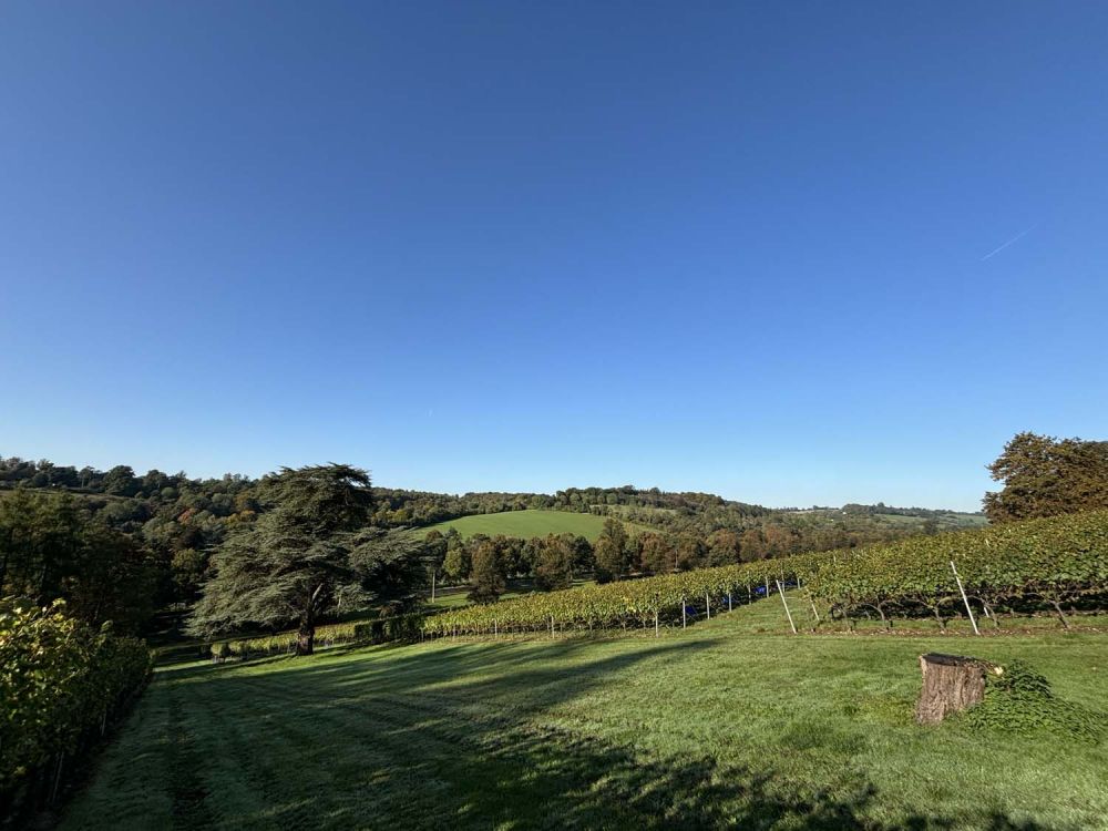 Vineyards with stunning countryside views for film and photoshoot hire (Henley-on-Thames)