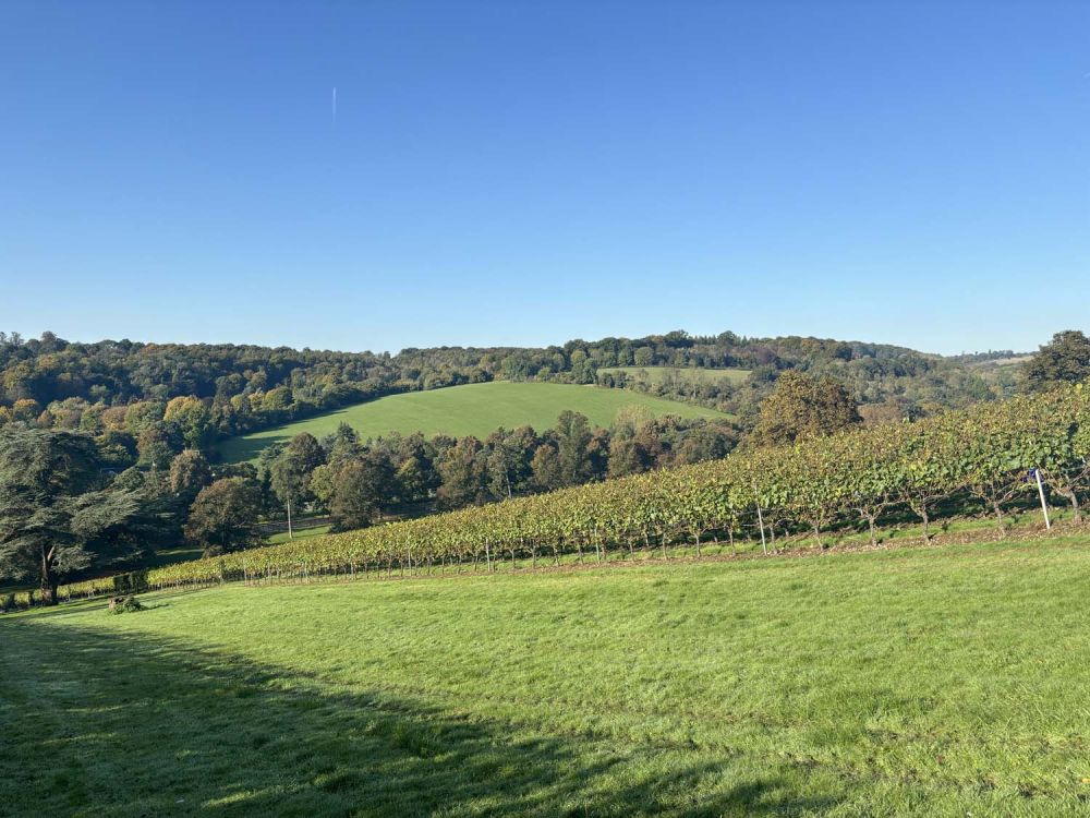 Vineyards with stunning countryside views for film and photoshoot hire (Henley-on-Thames)