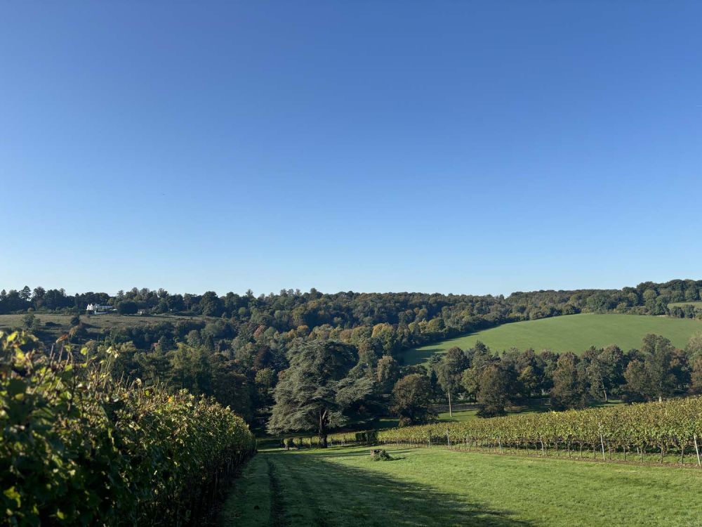 Vineyards with stunning countryside views for film and photoshoot hire (Henley-on-Thames)