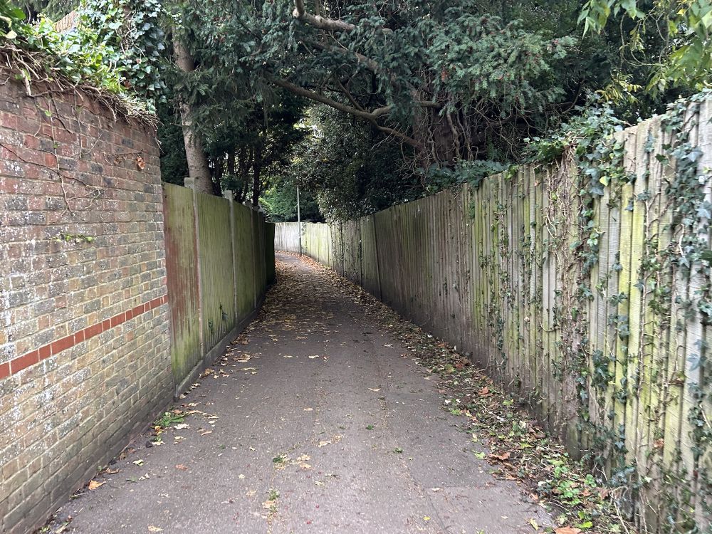 What a great alley for a chase (Reigate, Surrey)