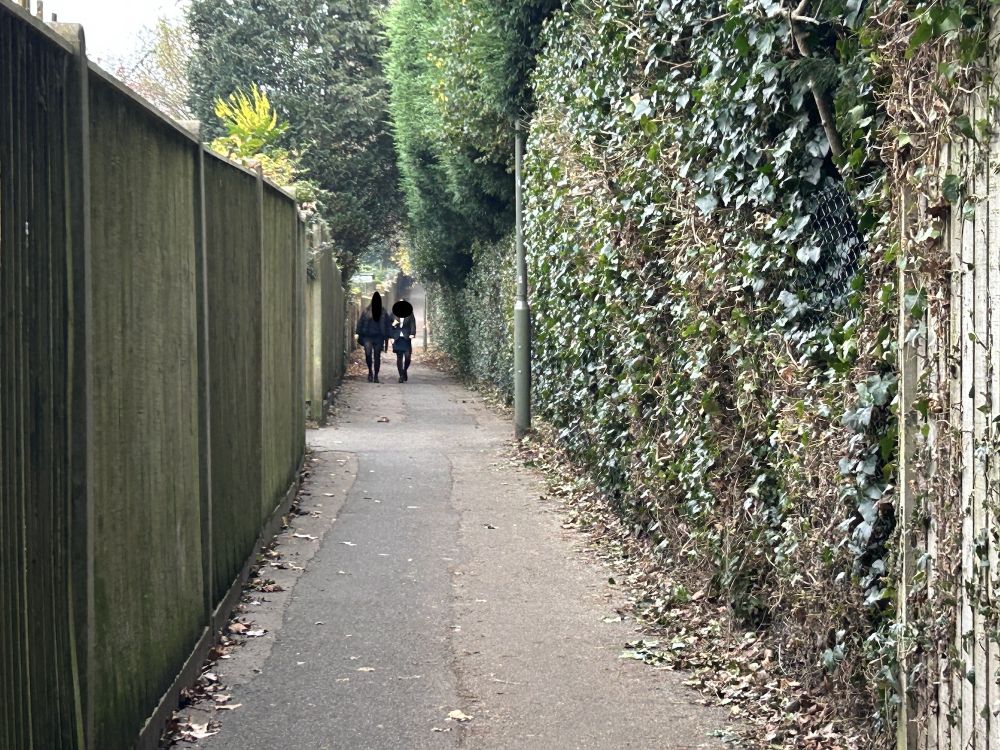What a great alley for a chase (Reigate, Surrey)