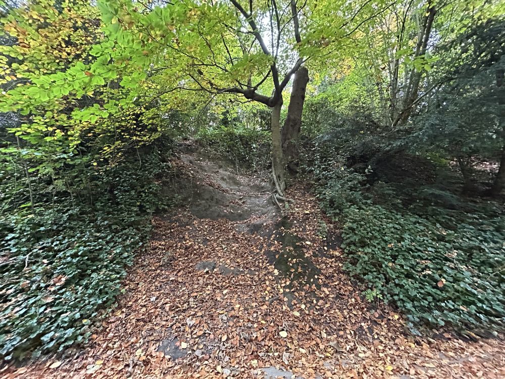 Pedestrianised controllable road with a long tunnel (Reigate, Surrey)
