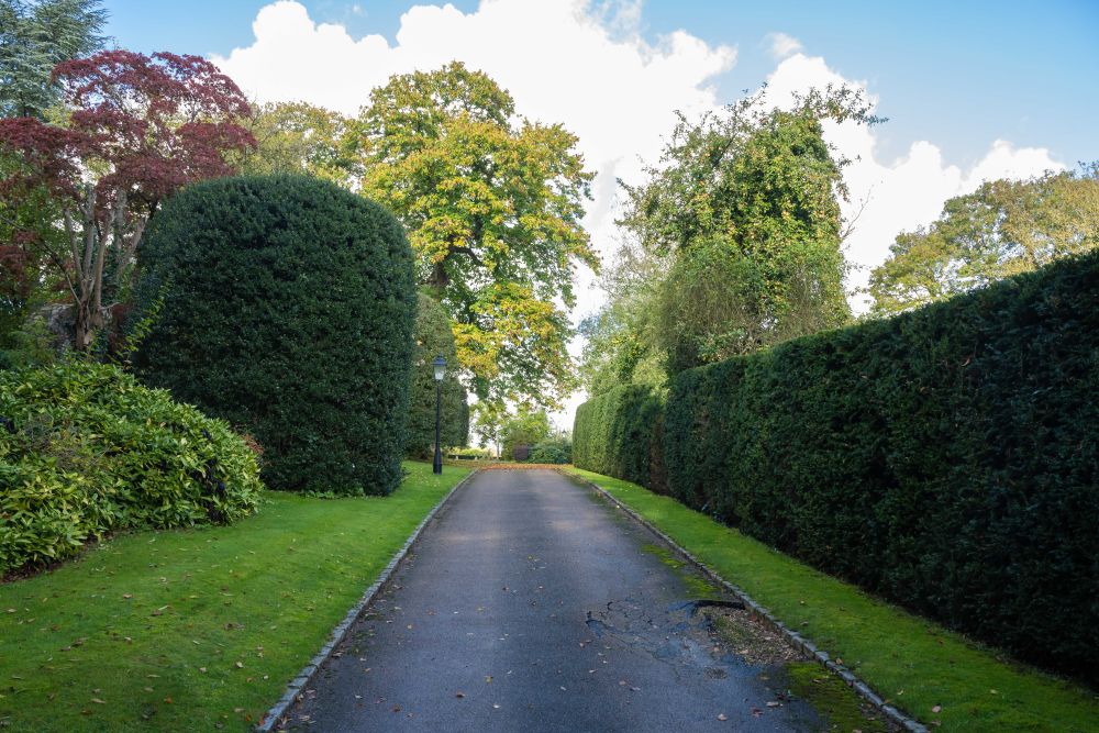 An underground private bar and recording studio with vintage retro touches