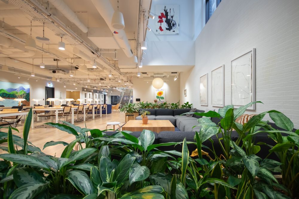 Modern Offices for filming and photography