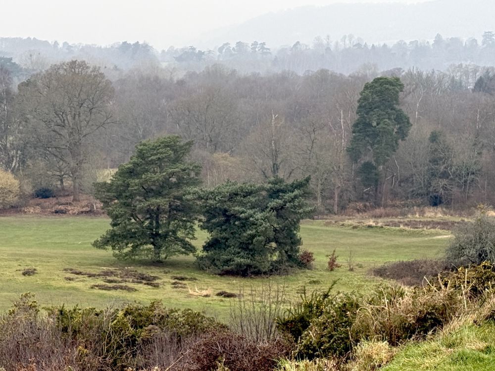 Golf course and clubhouse (Reigate, Surrey)