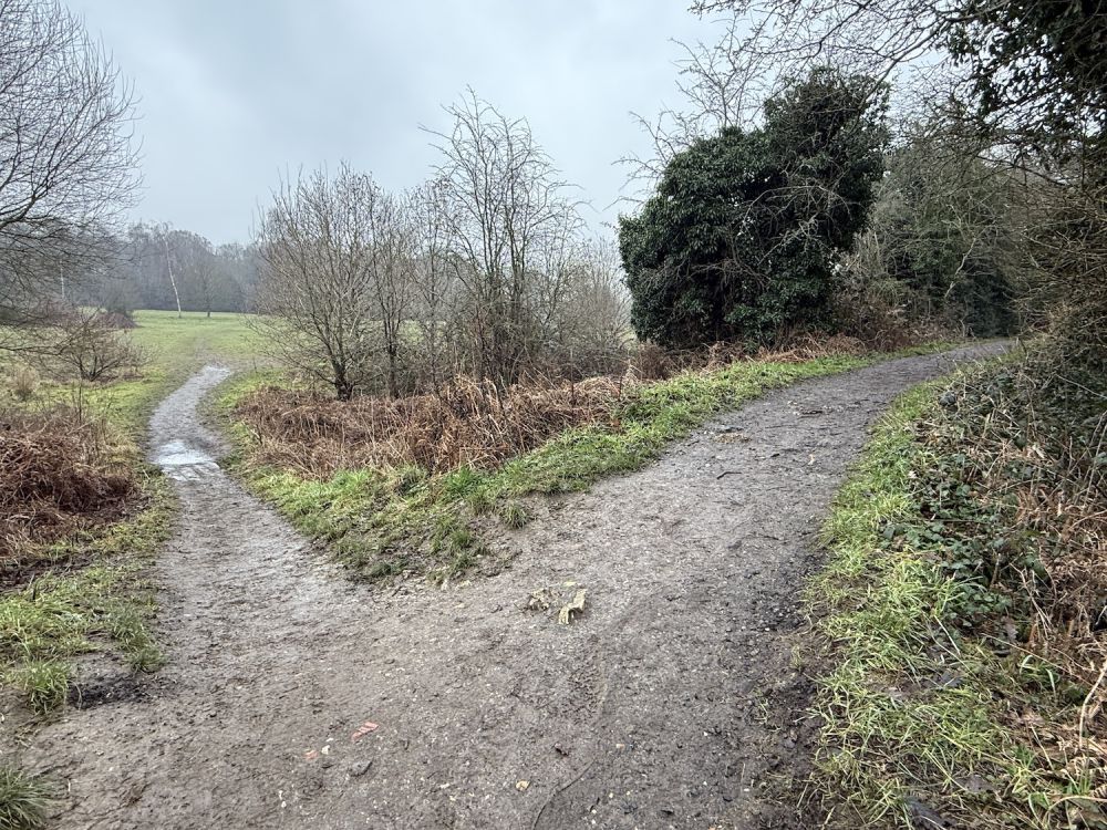 Earlswood Common park (Reigate, Surrey)