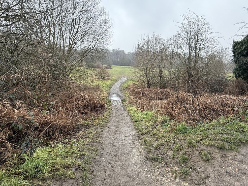 Earlswood Common park (Reigate, Surrey)