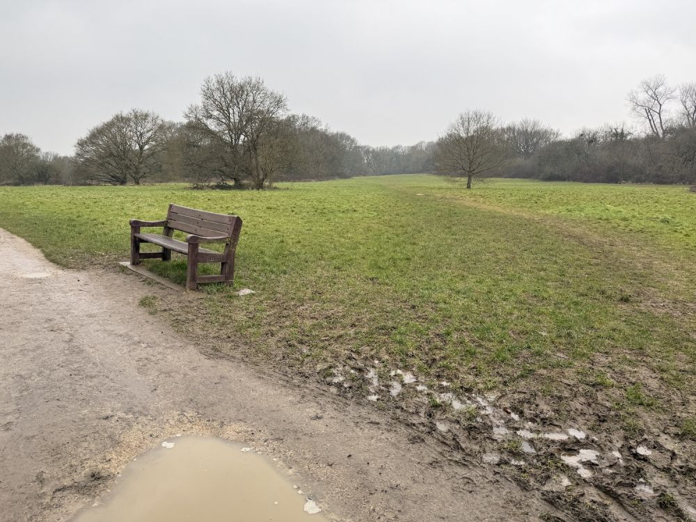 Earlswood Common park (Reigate, Surrey)