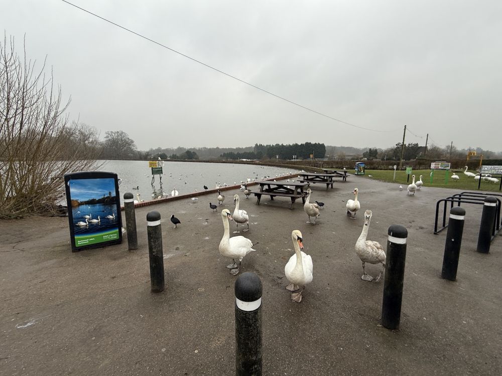Earlswood Common park (Reigate, Surrey)