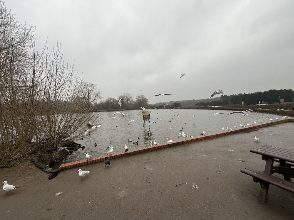 Earlswood Common park (Reigate, Surrey)