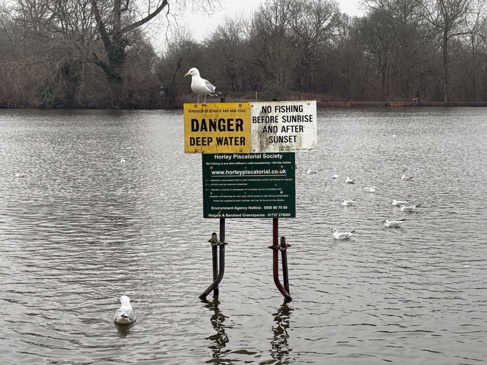 Earlswood Common park (Reigate, Surrey)