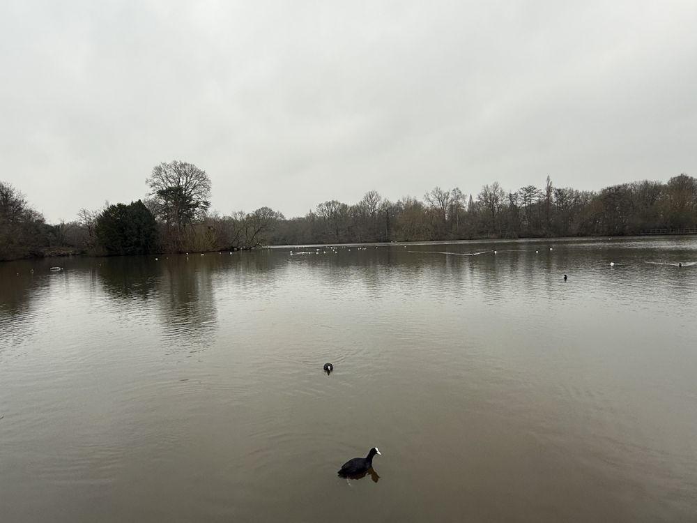 Earlswood Common park (Reigate, Surrey)