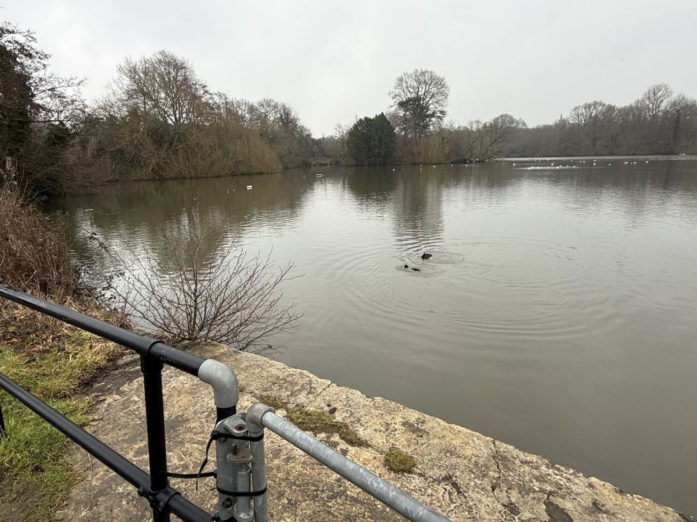 Earlswood Common park (Reigate, Surrey)